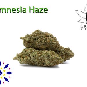 Amnesia Haze
