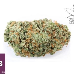 G13
