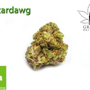 Stardawg
